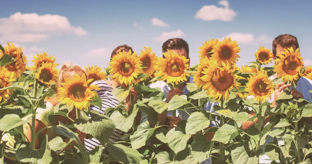 Novo site, mesma inquietude: Transformar o ambiente de trabalho